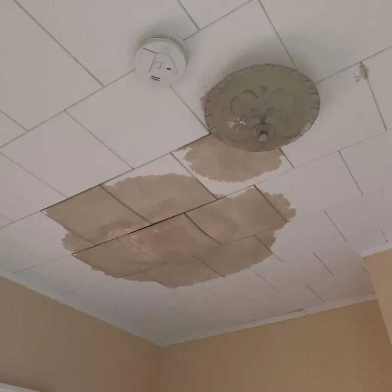 Ceiling Water Damage Repair in Elmont, NY